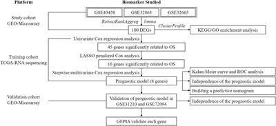Exploration of Prognostic Biomarkers for Lung Adenocarcinoma Through Bioinformatics Analysis